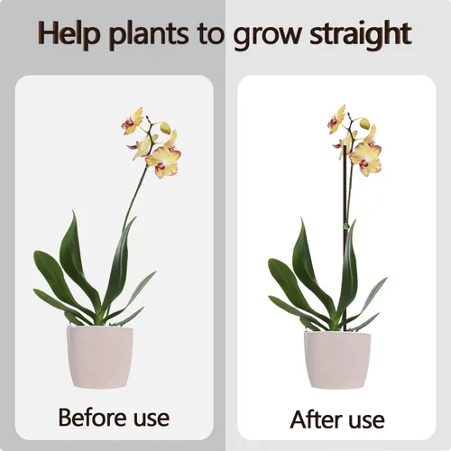 Miniatura 4 de 20 piezas de estacas para plantas, varillas para plantas, estacas de soporte de tallo único marrón para jardín, flexibles, para plantas