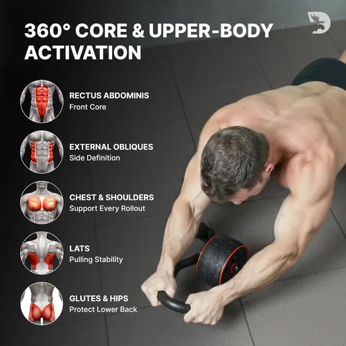 Miniatura 6 de DMoose Fitness - Rodillo para abdominales con soporte para codos y 2 almohadillas para rodillas - Entrenador de ejercicios abdominales para Negro