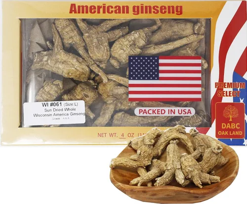 DOL - Raíz de ginseng cultivada a mano de Wisconsin Americana Seleccionada a Mano