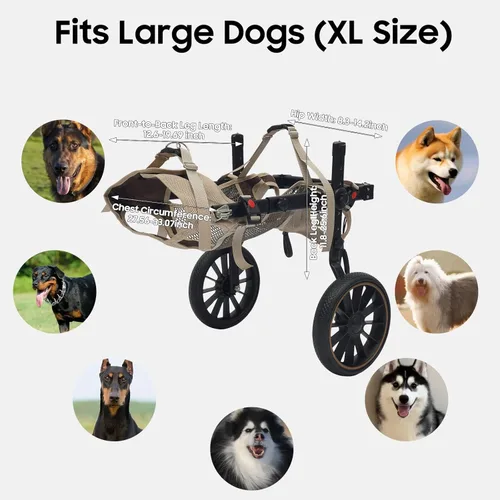 Miniatura 8 de Silla de ruedas ajustable para perros grandes para patas traseras Ayuda de rehabilitación para caminar con arnés y ruedas grandes para perros