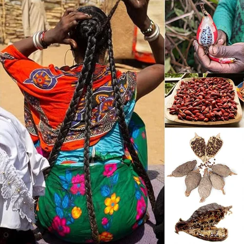 Miniatura 3 de Aceite de cuero cabelludo despertar de África Occidental: mezcla de hierbas con ricino y romero para un cabello rizado y rizado 3C a 4C de aspecto