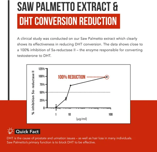 Miniatura 4 de Extracto de Saw Palmetto – Potencia 10X, Fuerza de Grado Farmacéutico – Más Aceite de Semilla de Calabaza – Apoya la Salud de la Próstata, Alivia