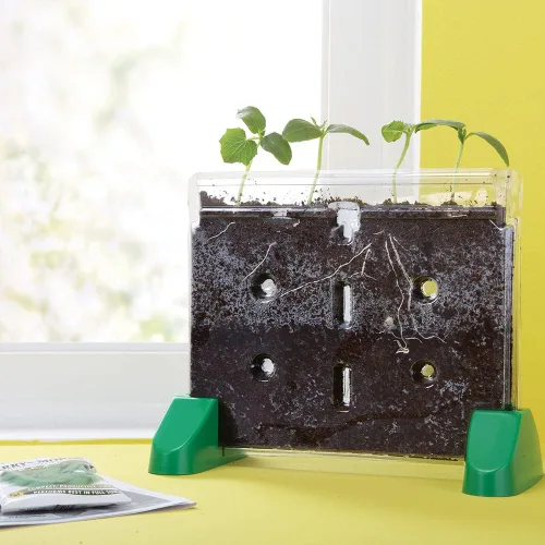 Miniatura 4 de Ventana Educational Insights, Sprout & Grow Window