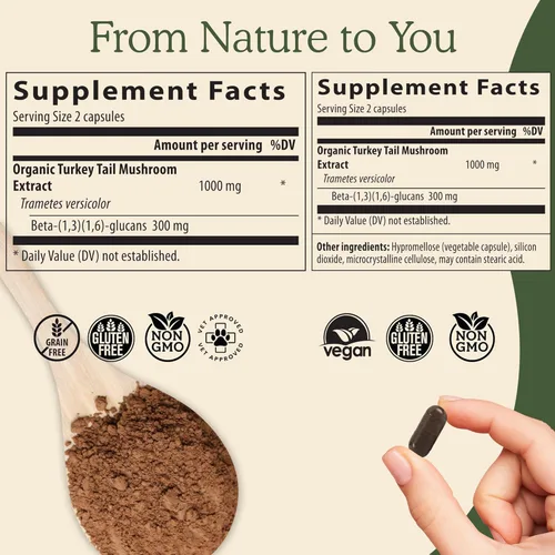 Miniatura 4 de Real Mushrooms Polvo de seta cola de pavo – Extracto de seta orgánico para el bienestar diario, armonía intestinal y apoyo energético con beta