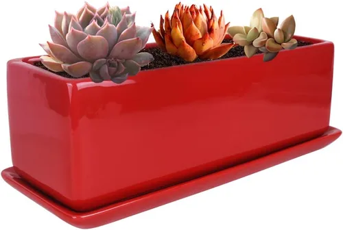 Miniatura 12 de Vencer Maceta rectangular moderna minimalista de cerámica para suculentas de 12 pulgadas, caja con ventana con platillo, soporte de escritorio