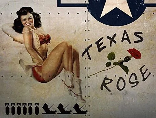 OMSigns - Letrero de metal rosa de Texas, arte de nariz de avión de la Segunda Guerra Mundial, Pinup Girl,