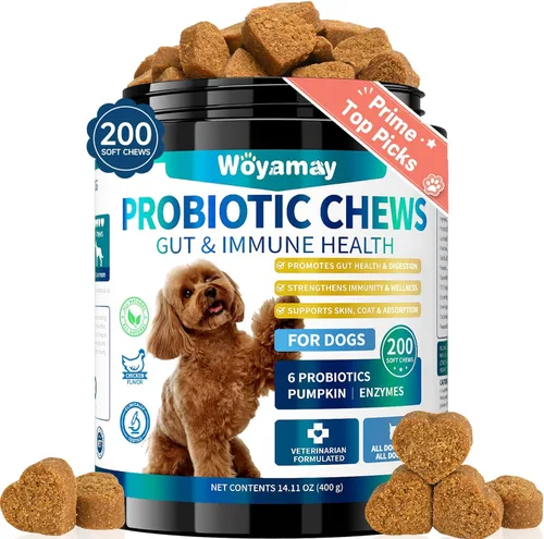 Woyamay Probiótico para perros para perros, 200 golosinas suaves probióticos para perros para salud digestiva y sistema inmunológico, probióticos