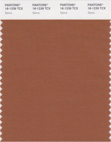 Miniatura 6 de PANTONE Tarjeta de muestra de color inteligente 18-1314X, bellota