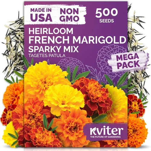 Miniatura 10 de KVITER 1600 semillas de pensamiento de los gigantes suizos para plantar (Viola wittrockiana) - Paquetes de semillas de colores mixtos Flores