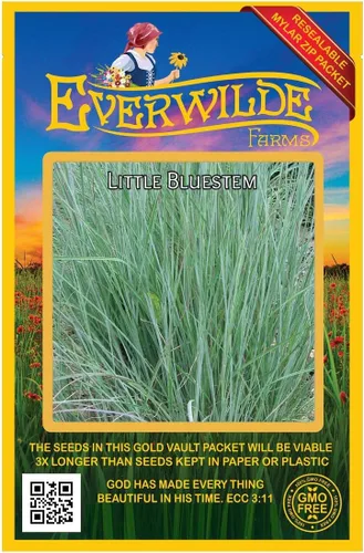 Everwilde Farms - 1000 semillas de hierba nativa Little Bluestem - Paquete de semillas jumbo Gold Vault