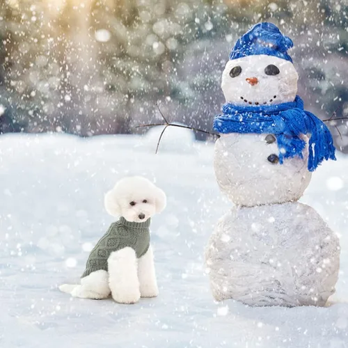 Miniatura 6 de BINGPET Suéter de Punto Térmico para Perros Pequeños, Medianos y Grandes, Abrigo de Invierno para Perros y Gatos, Conjuntos de Sudaderas Cálidas