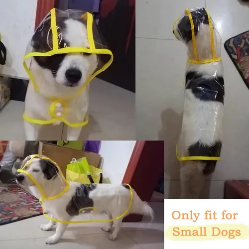 Miniatura 2 de Impermeable para mascotas, impermeable para perros pequeños, abrigo impermeable para cachorros, ropa impermeable transparente para perros pequeños