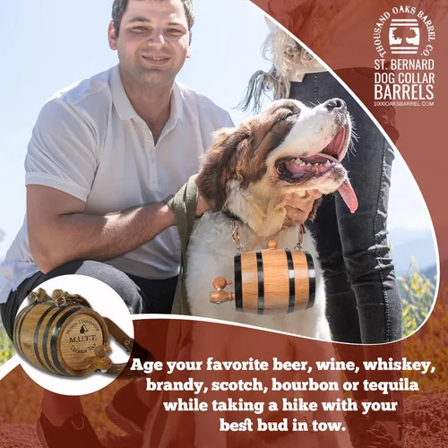 Miniatura 2 de St Bernard - Collar de barril de whisky para perro, 'M.U.T.T.' - Dispensador de barril de roble de 1/2 litro para perros San Bernardo con correa