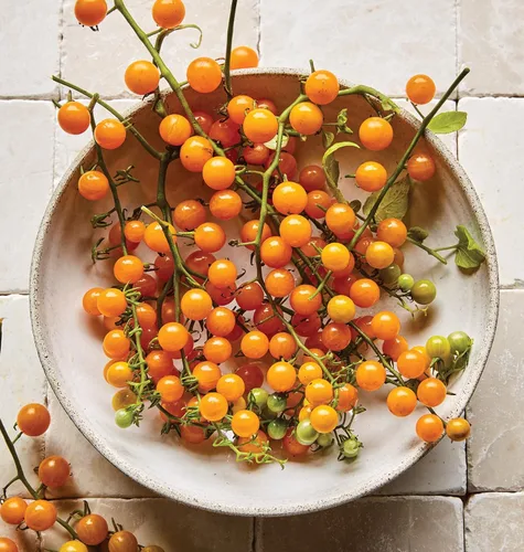 Miniatura 8 de Burpee Tomate 'Black Cherry' - Tomate cereza púrpura, sabor dulce y rico, 30 semillas Cereza Negra