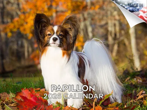 Miniatura 63 de Calendario 2025 2026 de cachorros Cocker Spaniel - Calendario mensual de pared de raza de perro - 12" x 24" abierto - Papel grueso sin sangrado