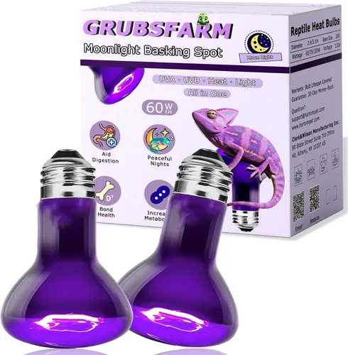 Miniatura 12 de Bombillas UVA de 60 W para lámpara de calor para reptiles, luz de punto de sol para dragón barbudo, lagarto, tortuga, pollitos y anfibios, luz solar
