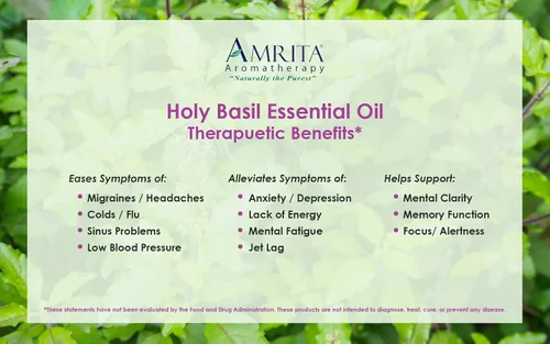 Miniatura 5 de Amrita Aromatherapy: Aceite esencial orgánico de albahaca sagrada (Tulsi); Ocimum Sanctum 100% puro y sin diluir; aceite de aromaterapia de alta