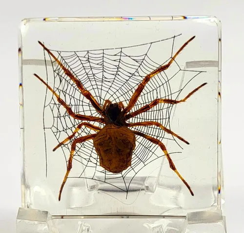 Miniatura 29 de 44mm de escorpión negro real en resina de lucite transparente cristalina, especímenes de artesanía, insectos de varios animales, colección