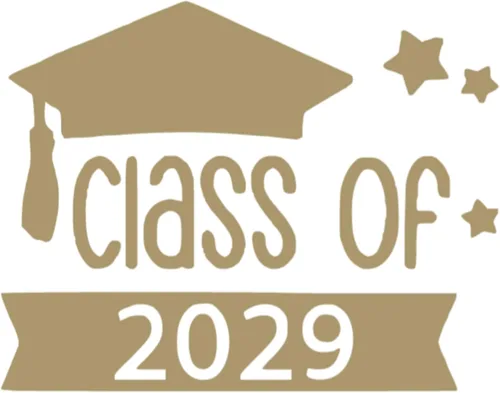 Class of 2029 Decal, Graduation Iron On Decal, DIY Craft, Heat Transfer, Senior Tshirt Patch, Vinyl Applique for Shirt, Pick Size & Color, Iron-On