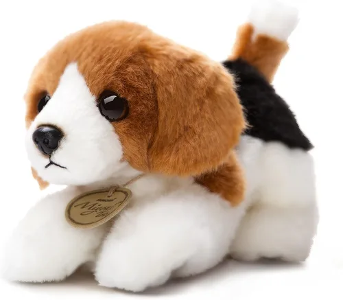 Miyoni Beagle 8 en