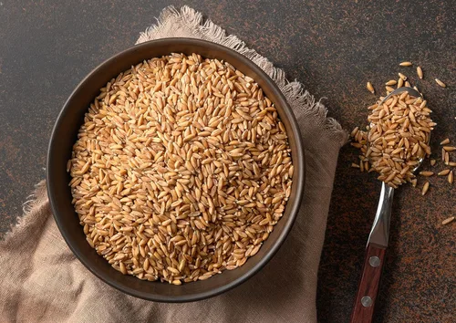 Miniatura 4 de Food to Live Bayas de espelta, 1 libra, un nutritivo grano antiguo para cocinar, hornear o refrigerios saludables. Rico en fibra, proteínas