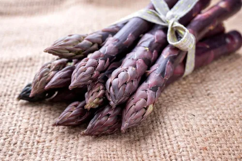 Purple Passion - Plantas de raíz desnuda de espárragos vivos, coronas de 2 años, no se pueden enviar desde California (5 coronas de espárragos)