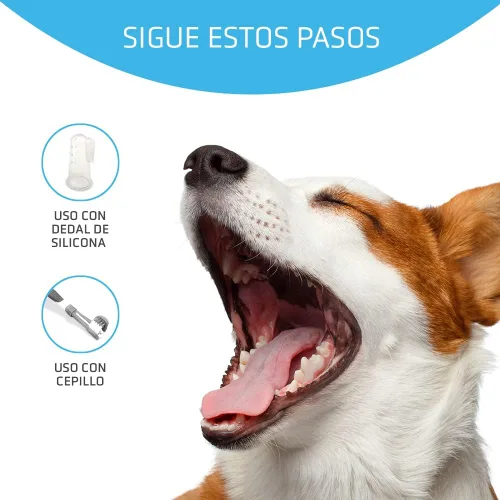 Miniatura 4 de Artero Gel de pasta dental Dentix para perros para quitar la placa y mantener el mal aliento a raya