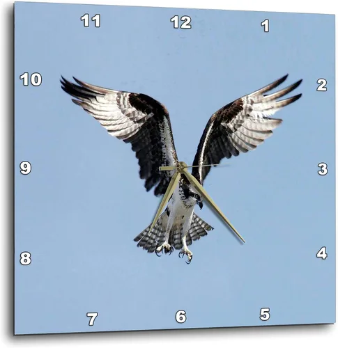 Miniatura 50 de 3dRose Reloj de pared silencioso - 10 pulgadas - 2da enmienda Protéjase en un doble círculo con pistola Clipart - Ciudad de sello - Tipografía