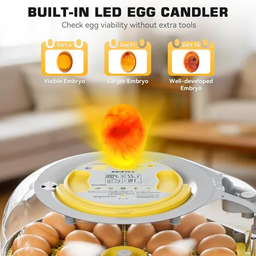 Miniatura 4 de IBKINXX Incubadora de 26 huevos para incubar huevos con guía de voz inteligente, vista de 360° con control automático de temperatura y humedad, giro