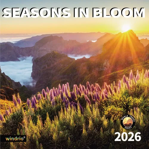 Miniatura 11 de Calendario de pared 2026, calendario 2026, noviembre de 2025 a diciembre de 2026, calendario de pared arcoíris, 12 x 24 pulgadas abierto, página