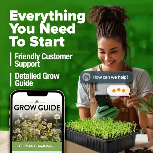 Miniatura 9 de HOME GROWN Paquete de semillas de manzanilla alemana, 2,280 semillas de reliquia sin OMG para plantar jardines sostenibles y tés de hierbas