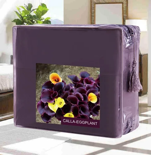 Miniatura 3 de Juego de ropa de cama Elegant Comfort, de 3 piezas, elegante, no se arruga, 1500 hilos egipcios
