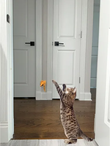 Miniatura 7 de SPOT A-Door-Able - Juguete interactivo para gatos con sonajero colgante y hierba gatera, entretiene a los gatos durante horas, disfruta