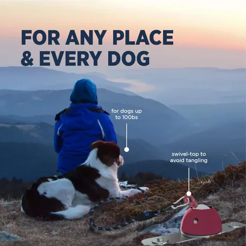 Miniatura 4 de Industrial Puppy Estaca de amarre para perros: acción giratoria de 360 grados que ayuda a reducir los enredos, 3 anclajes de sacacorchos, acero
