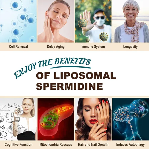 Miniatura 7 de Suplemento de espermidina de 15 mg – 99% de pureza, alta absorción, 1500 mg de extracto de germen de trigo fermentado con zinc y tiamina