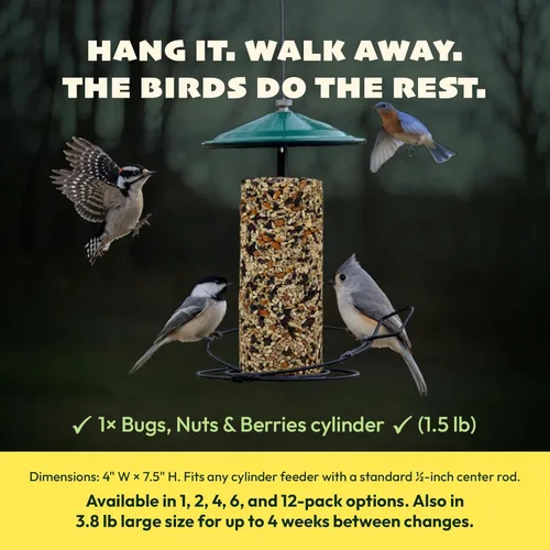 Miniatura 7 de JCs Wildlife Cilindro de semillas de pájaros con agujero, sin ensuciar, sin relleno, alimento para pájaros silvestres para comederos exteriores
