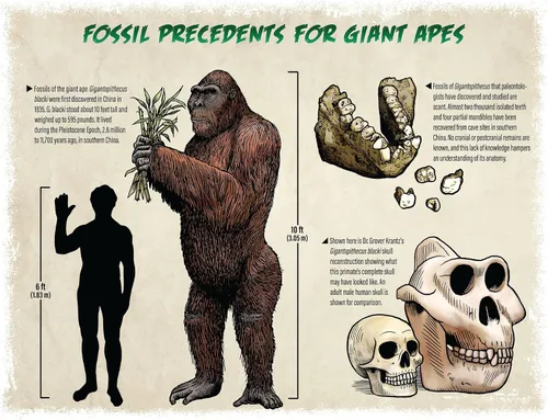 Miniatura 2 de Calendario Bigfoot 2024 – Calendario de pared de 12 meses – 11 x 19 pulgadas abierto – Ideal para la oficina o cabina – Regalo divertido
