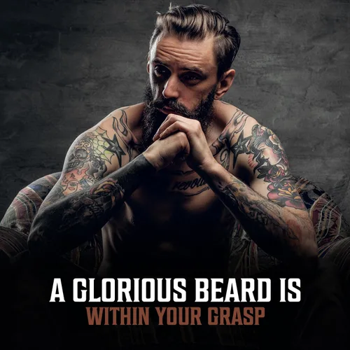 Miniatura 6 de Viking Revolution Aceite para barba para hombre, paquete de 3 unidades, juego variado de aceite natural para barba para hombre, aroma de sándalo