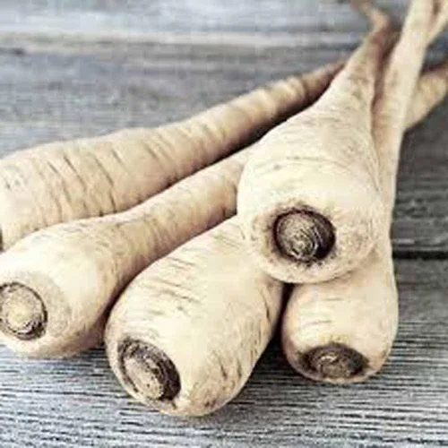 Chirivía, semillas de corona huecas, sin OMG, 100 semillas por paquete, carne blanca dulce tiene buen sabor y se mantiene bien durante el invierno.