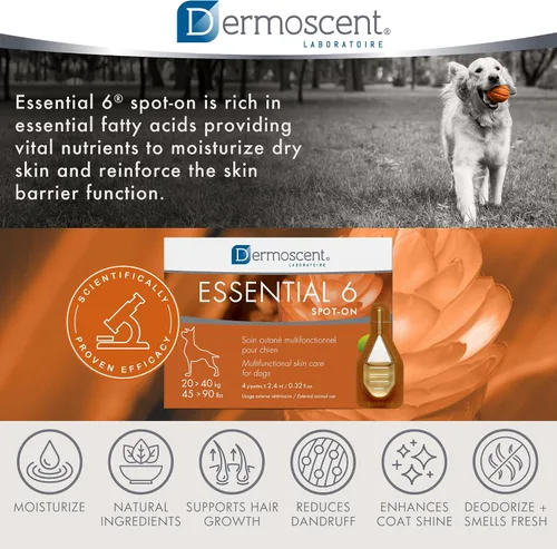 Miniatura 9 de Dermoscent Essential 6 spot-on - Cuidado de la piel para perros con caspa y alivio de alergias con aceite de vitamina E - Antipicazón para perros