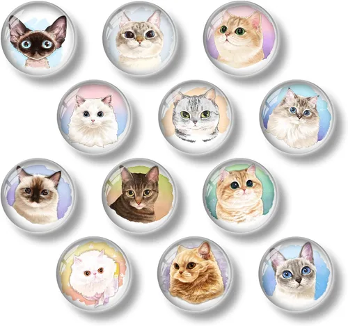Miniatura 6 de 12 imanes de cristal para nevera, lindos gatos, imanes decorativos para refrigerador, para cocina, oficina, pizarra, gabinete y lavavajillas
