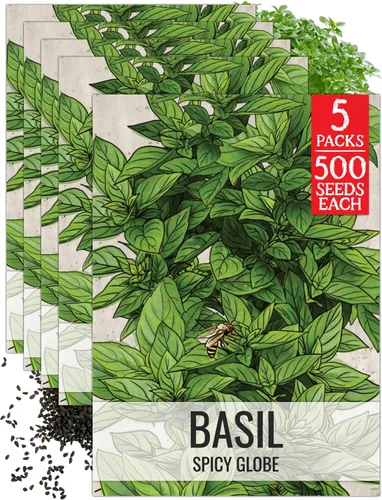 Miniatura 35 de Seed Needs Semillas de albahaca para plantar hierbas de albahaca tailandesa, sin OMG y semillas de hierbas sin tratar para cultivar un jardín
