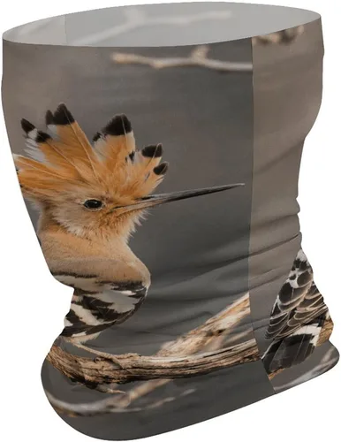 Miniatura 2 de Hoopoe Neck Gaiter Breathable & Moisture-Wicking Face Mask Bandana Balaclava Sun Protection Face Cover Scarf Lightweight Seamless Design for Outdoor