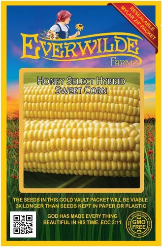 Miniatura 4 de Everwilde Farms - Semillas de maíz dulce híbridas selectas de miel de 1/4 libras - Gold Vault