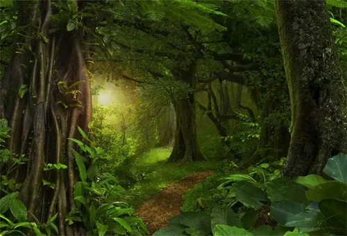 Telón de fondo de fotos de cuento de hadas de 5 x 3 pies para niños, fiesta de cumpleaños, eventos, decoración de bosque perenne, selva, paisaje