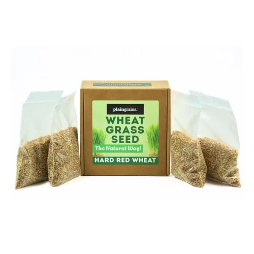 Miniatura 6 de PlainGrains. The Natural Way - Semillas de pasto de trigo de 1.5 libras 100% semillas de hierba de trigo para brotar Semillas de hierba