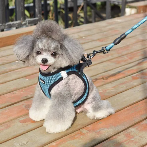 Miniatura 6 de Arnés para perro Matilor, paso, transpirable, diseño para meter por las patas, para cachorros, gatos, perros pequeños o medianos, color azul