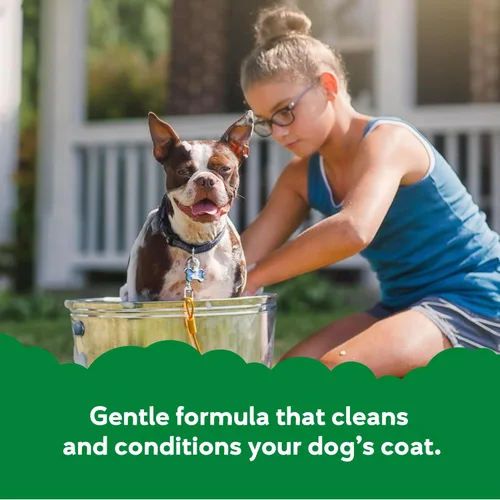 Miniatura 2 de Buddy Grooming Wash Champú 2 en 1 para perros, té verde y bergamota, botella de 16 onzas