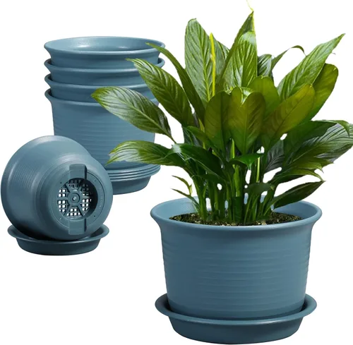 Miniatura 7 de Paquete de 6 macetas para plantas de interior, macetas con orificio de drenaje y platillo de bandeja, maceta de 7 pulgadas, macetas de 6 pulgadas