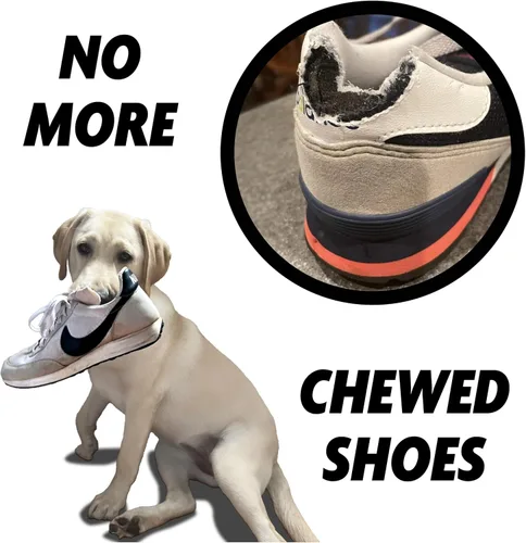 Miniatura 2 de Juguete masticable para perros con sabor a carne de res, zapato deportivo, grande, goma natural, resistente, rosa polvo Rosado Powder